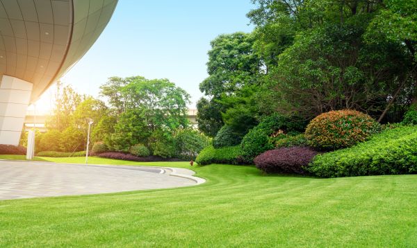 Cost of Commercial Lawn Mowing in Seattle