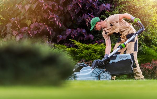 Cost of Lawn Care And Maintenance in Seattle