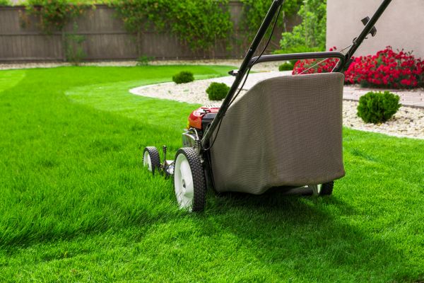 Cost of Lawn Mowing in Seattle