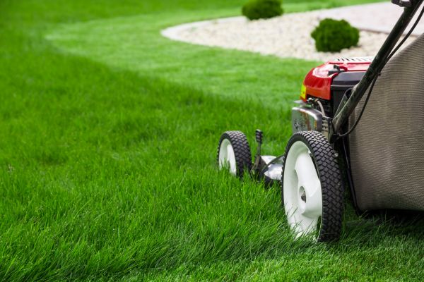 Cost of Mowing Service in Seattle