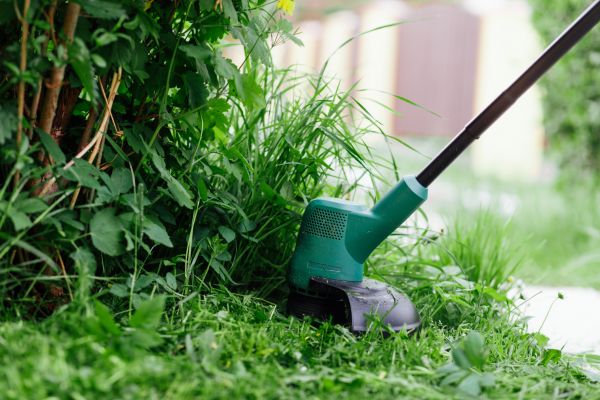 Cost of Weed Whacking in Seattle