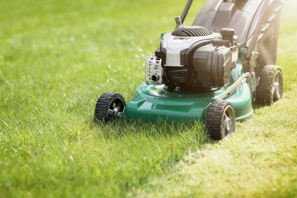 Cost of Yard Cutting in Seattle