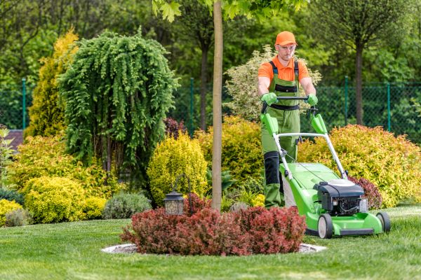 Cost of Yard Service in Seattle