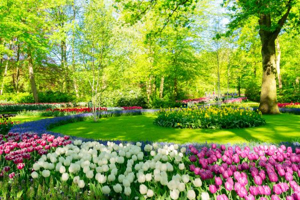 Cost of Spring Lawn Care in Seattle