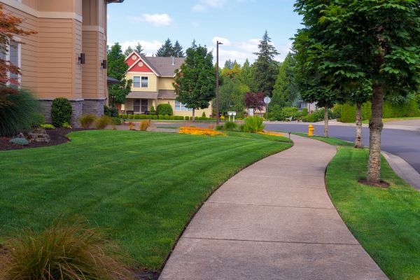 Cost of Home Lawn Maintenance in Seattle