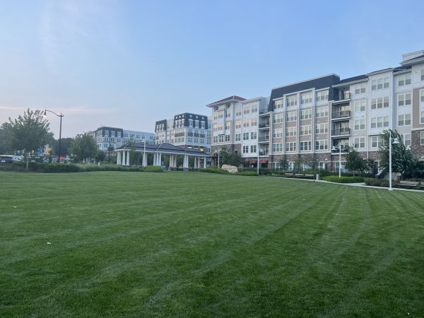 Cost of Urban Lawn Care in Seattle