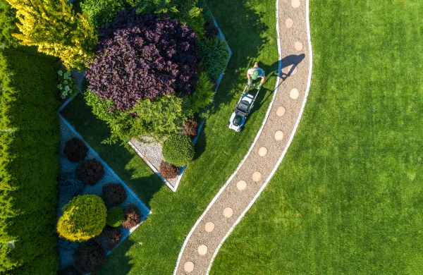 Cost of Mowing And Landscaping in Seattle