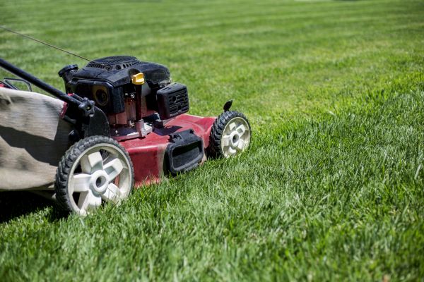 Cost of Routine Lawn Care in Seattle