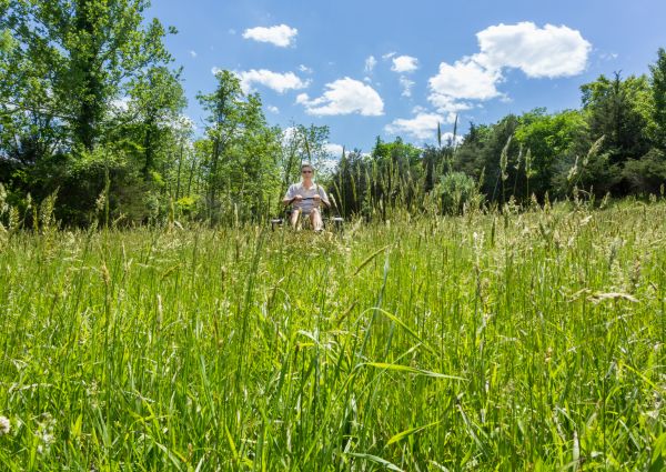 Cost of Long Grass Mowing in Seattle
