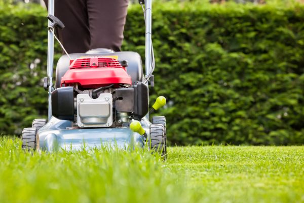 Cost of Grass Trimming Service in Seattle