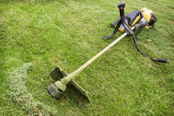 Cost of Hillside Weed Whacking in Seattle
