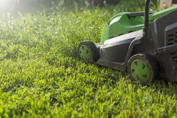 Cost of Lot Mowing in Seattle
