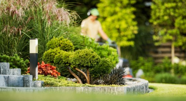 Cost of Residential Yard Maintenance in Seattle
