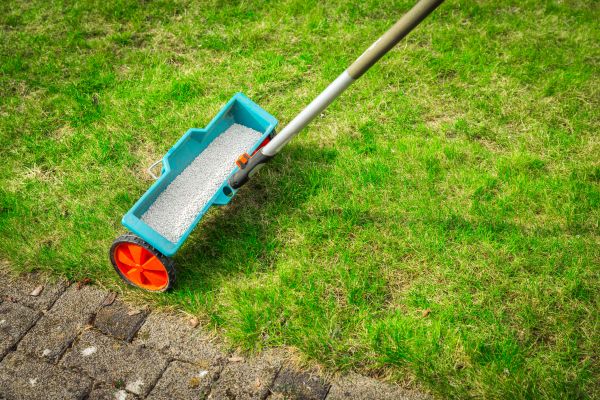 Cost of Commercial Lawn Treatment in Seattle