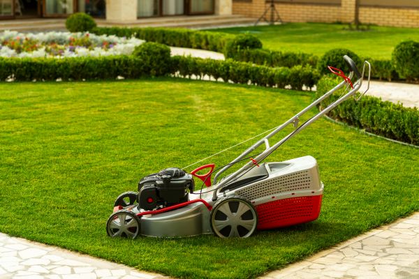 Cost of Business Grass Cutting in Seattle