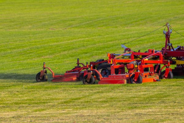 Cost of Industrial Lawn Service in Seattle