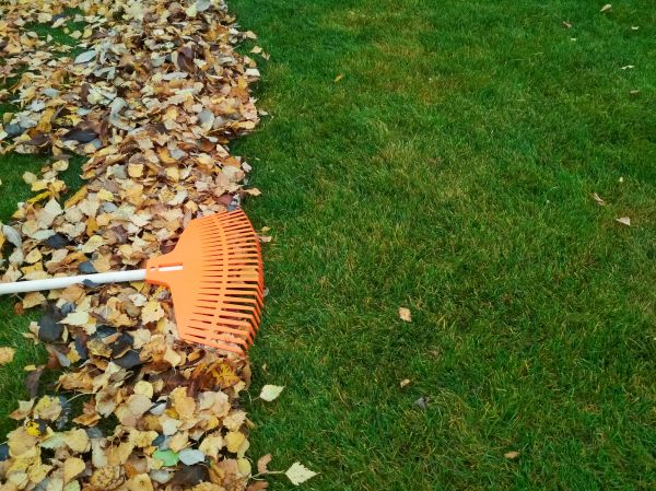 Cost of Fall Lawn Care in Seattle