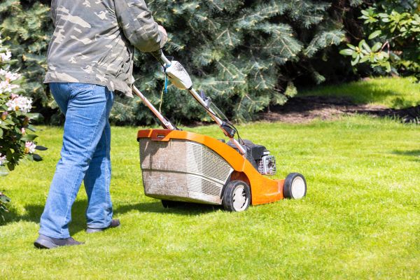 Cost of Springtime Lawn Care in Seattle