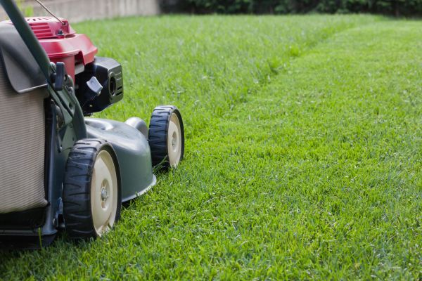 Cost of Spring Lawn Maintenance in Seattle