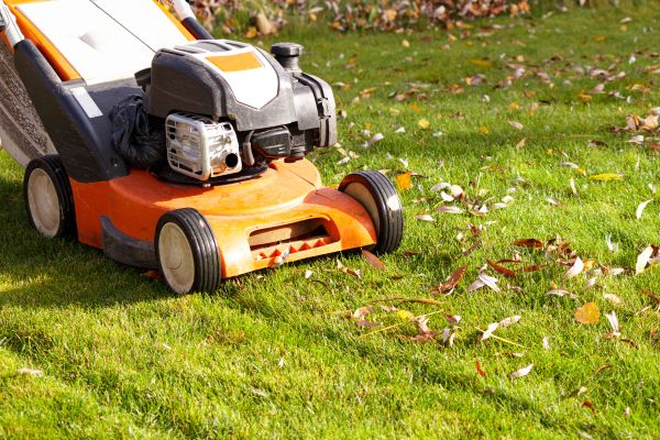 Cost of Fall Mowing in Seattle