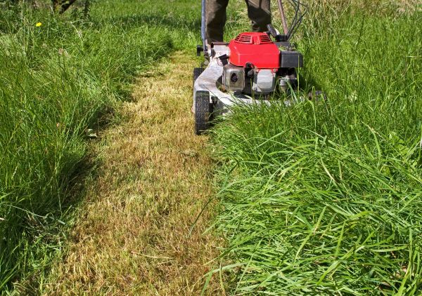 Cost of Leaf Mowing in Seattle