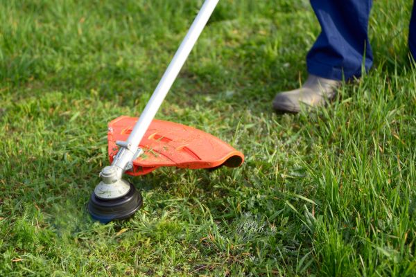 Cost of Lawn Weed Whacking in Seattle
