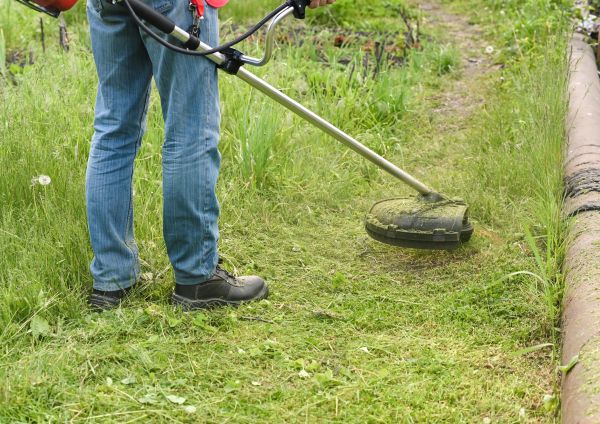 Cost of Tall Grass Trimming in Seattle