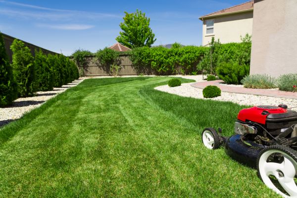 Cost of Residential Lawn Mowing in Seattle