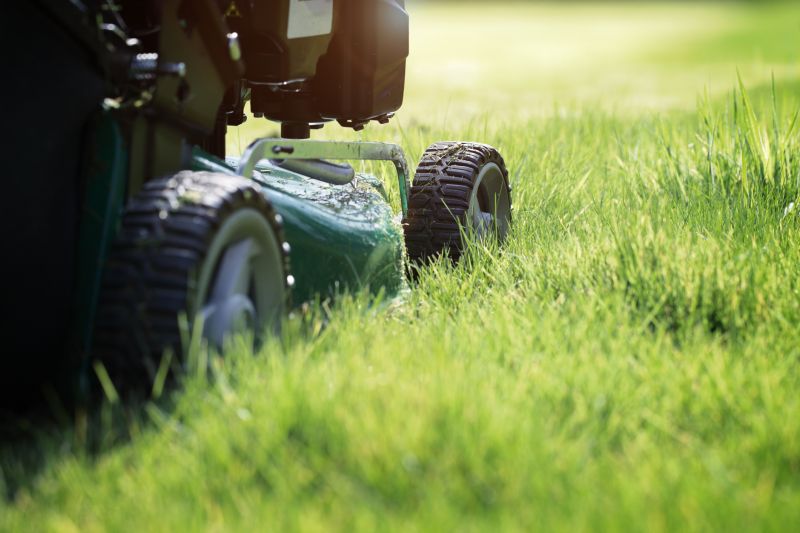 Lawn Cutting Service detail