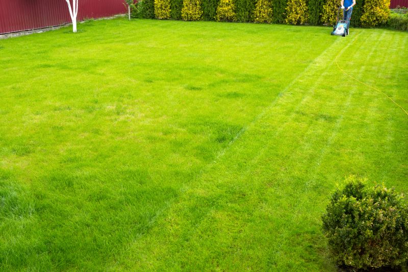 Weekly Lawn Care detail