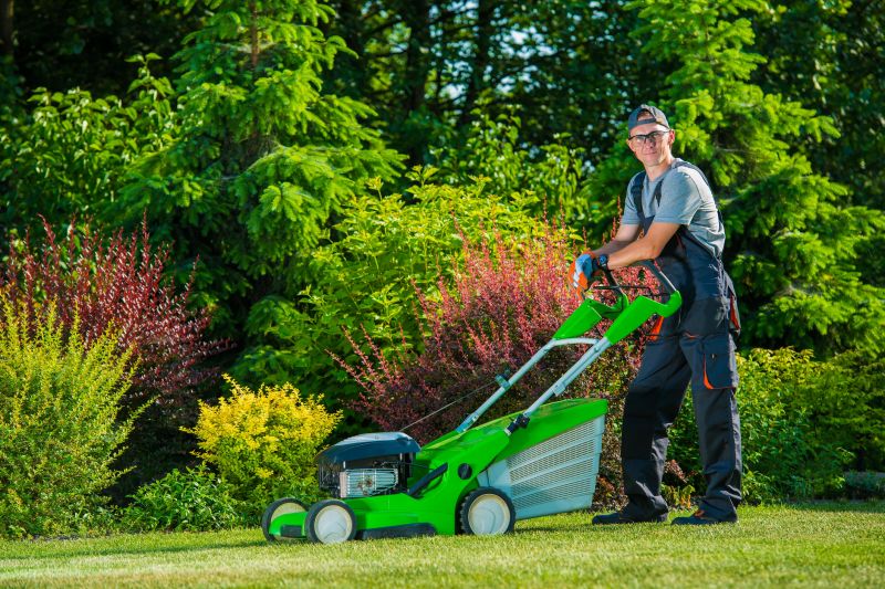 Large Lawn Maintenance