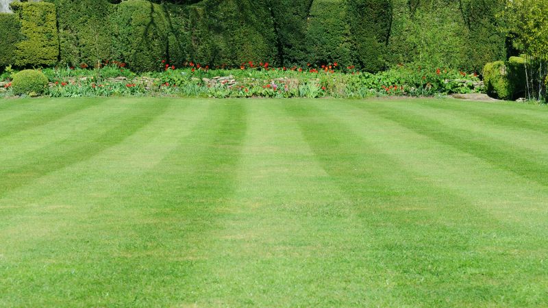 Lawn Maintenance Tips